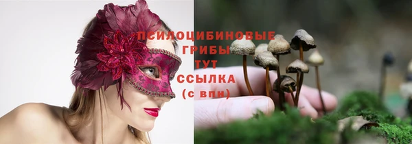 таблы Алексеевка