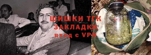 винт Алзамай