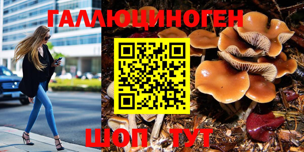 Волжский  Галлюциногенные грибы Psilocybe  Псилоцибиновые грибы Magic Shrooms  Вход с VPN 